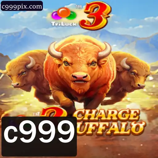 c999 Jogos de loteria