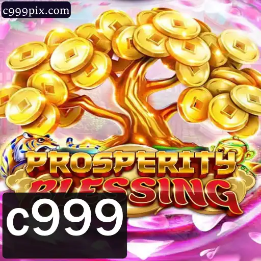 c999 Jogo Responsável
